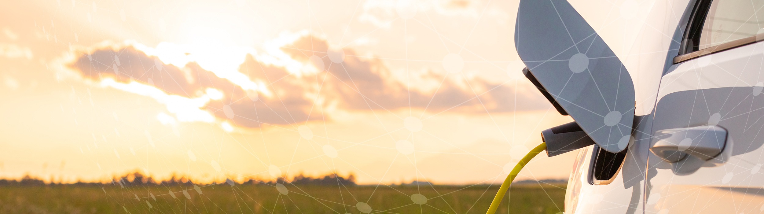 01-header-schmaler-network-2500px
